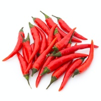 Tabasco pepper